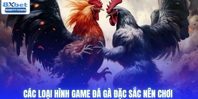 Các loại hình game đá gà đặc sắc nên chơi 